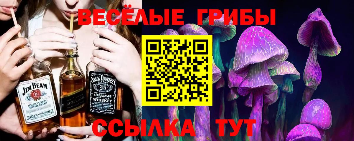 Амфетамин Майкоп